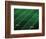 Football Field-Doug Wilson-Framed Photographic Print