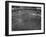 Football Final Between England and Denmark-null-Framed Photographic Print