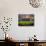 Football Game, Forsyth Barr Stadium, Dunedin, South Island, New Zealand - Fisheye-David Wall-Photographic Print displayed on a wall