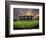 Football Game, Forsyth Barr Stadium, Dunedin, South Island, New Zealand - Fisheye-David Wall-Framed Photographic Print