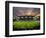 Football Game, Forsyth Barr Stadium, Dunedin, South Island, New Zealand - Fisheye-David Wall-Framed Photographic Print