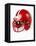 Football Helmet-Randy Faris-Framed Premier Image Canvas