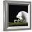 Football Helmet-Sean Justice-Framed Photographic Print