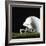 Football Helmet-Sean Justice-Framed Photographic Print