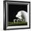 Football Helmet-Sean Justice-Framed Photographic Print