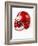 Football Helmet-Randy Faris-Framed Photographic Print