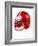 Football Helmet-Randy Faris-Framed Photographic Print