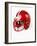 Football Helmet-Randy Faris-Framed Photographic Print