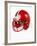 Football Helmet-Randy Faris-Framed Photographic Print