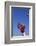 Football Player Catching a Football-DLILLC-Framed Photographic Print