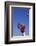 Football Player Catching a Football-DLILLC-Framed Photographic Print