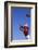 Football Player Catching a Football-DLILLC-Framed Photographic Print