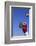 Football Player Catching a Football-DLILLC-Framed Photographic Print