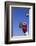 Football Player Catching a Football-DLILLC-Framed Photographic Print