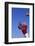 Football Player Catching a Football-DLILLC-Framed Photographic Print