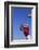 Football Player Catching a Football-DLILLC-Framed Photographic Print