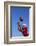 Football Player Catching a Football-DLILLC-Framed Photographic Print