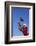 Football Player Catching a Football-DLILLC-Framed Photographic Print