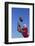 Football Player Catching a Football-DLILLC-Framed Photographic Print