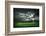 Football Player with Ball in Action Outdoors-Andrey Yurlov-Framed Photographic Print