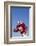 Football Player-DLILLC-Framed Photographic Print