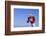 Football Player-DLILLC-Framed Photographic Print