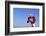 Football Player-DLILLC-Framed Photographic Print