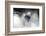 Football Player-Beto Chagas-Framed Photographic Print