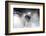 Football Player-Beto Chagas-Framed Photographic Print