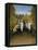 Football Players-Henri Rousseau-Framed Premier Image Canvas