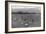 Football Practice-Ansel Adams-Framed Art Print