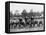 Football Team in Field-Everett Collection-Framed Premier Image Canvas