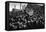 Football: the Cup Tie Crowd at Derby, 1903-null-Framed Premier Image Canvas