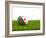 Football with Flag of Algeria-Mikhail Mishchenko-Framed Art Print