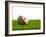 Football with Flag of Algeria-Mikhail Mishchenko-Framed Art Print