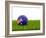 Football with Flag of Australia-Mikhail Mishchenko-Framed Art Print