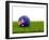 Football with Flag of Australia-Mikhail Mishchenko-Framed Art Print