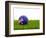 Football with Flag of Australia-Mikhail Mishchenko-Framed Premium Giclee Print