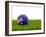 Football with Flag of Australia-Mikhail Mishchenko-Framed Art Print