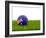 Football with Flag of Australia-Mikhail Mishchenko-Framed Art Print