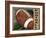 Football-Todd Williams-Framed Art Print