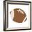 Football-Jace Grey-Framed Art Print