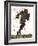 Football-Teofilo Olivieri-Framed Giclee Print