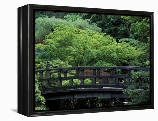 Footbridge in Japanese Garden, Portland, Oregon, USA-Adam Jones-Framed Premier Image Canvas
