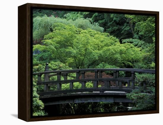 Footbridge in Japanese Garden, Portland, Oregon, USA-Adam Jones-Framed Premier Image Canvas