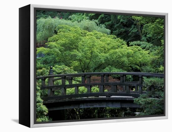 Footbridge in Japanese Garden, Portland, Oregon, USA-Adam Jones-Framed Premier Image Canvas