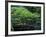 Footbridge in Japanese Garden, Portland, Oregon, USA-Adam Jones-Framed Photographic Print