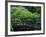 Footbridge in Japanese Garden, Portland, Oregon, USA-Adam Jones-Framed Photographic Print