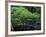 Footbridge in Japanese Garden, Portland, Oregon, USA-Adam Jones-Framed Photographic Print