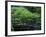 Footbridge in Japanese Garden, Portland, Oregon, USA-Adam Jones-Framed Photographic Print